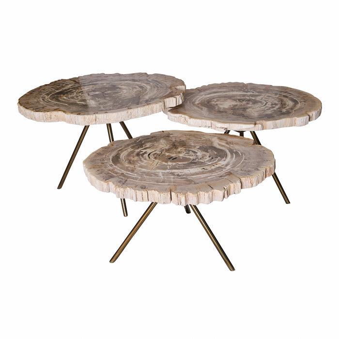 Salontafel New Khine | Set van 3 | Naturel Versteend Hout